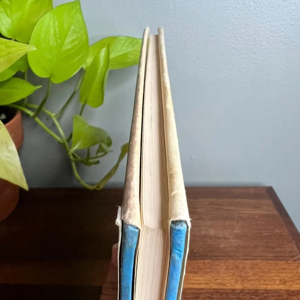 The Little Prince Antoine de Saint Exupery HC DJ Illustrated 1982